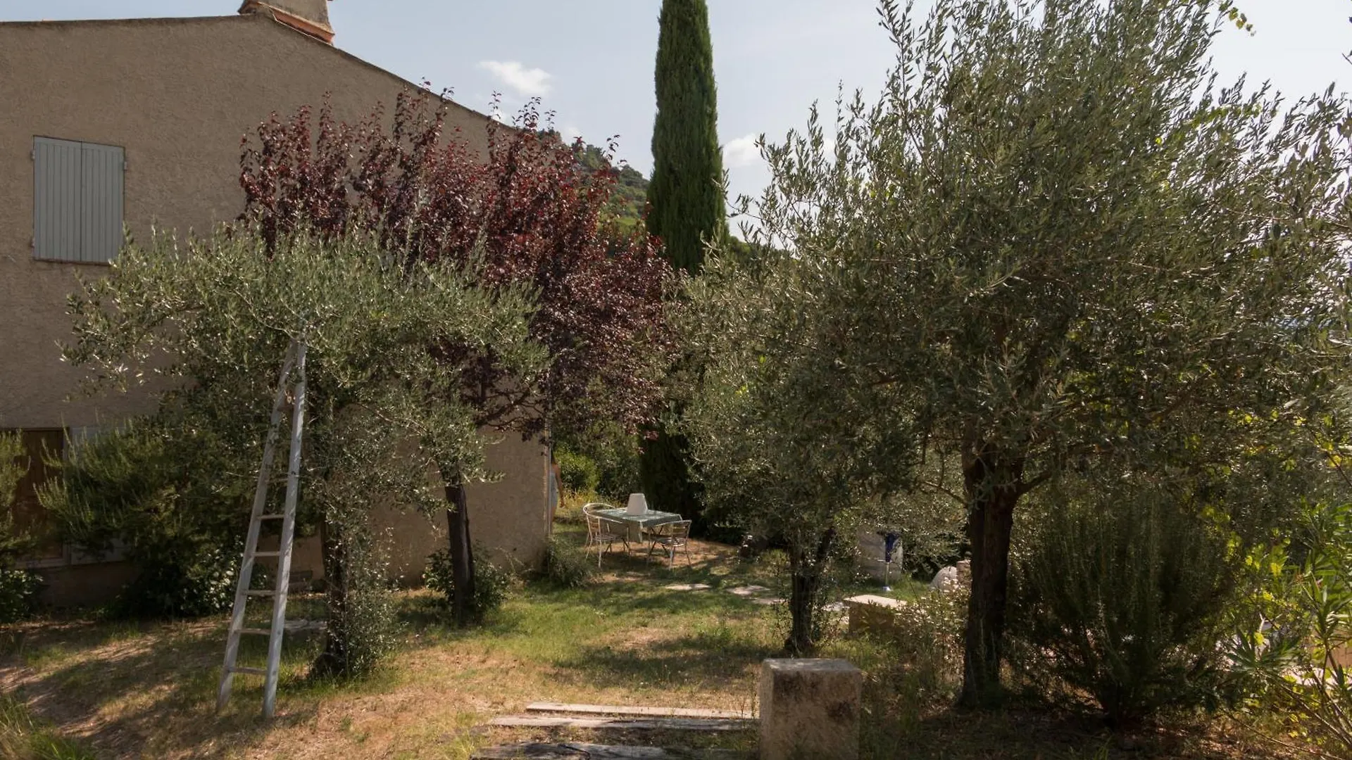 Le Mas De La Font De L'Aube Merindol-les-Oliviers Holiday home